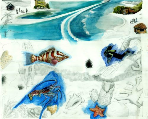 coral-reef-initial-illustration-with-human-elements-in-color.png-scaled