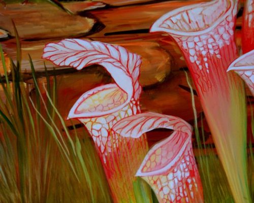 freshwater-mural-bottom-detail-pitcher-plants-2-scaled