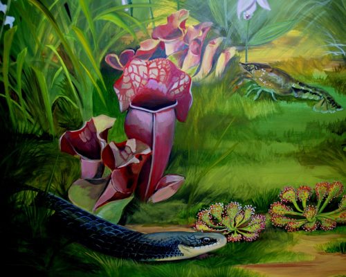 freshwater-mural-bottom-detail-pitcher-plants-and-snake-scaled